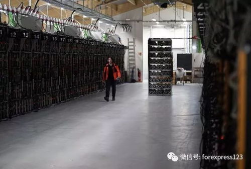 Large Dogecoin Mining Farm