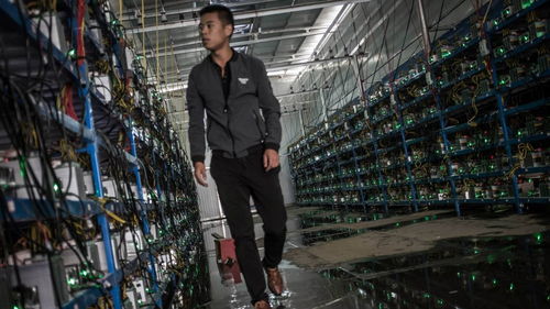 A Bitcoin mining rig set up in an industrial facility.